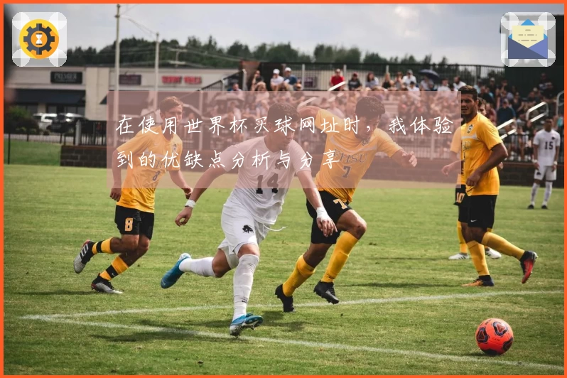 在使用世界杯买球网址时，我体验到的优缺点分析与分享