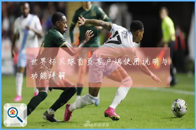 世界杯买球首页客户端使用说明与功能详解