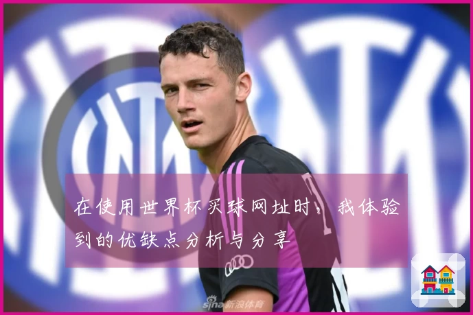 在使用世界杯买球网址时，我体验到的优缺点分析与分享