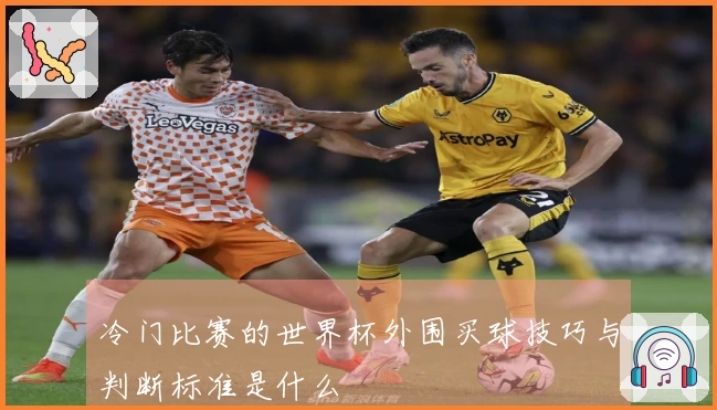 冷门比赛的世界杯外围买球技巧与判断标准是什么