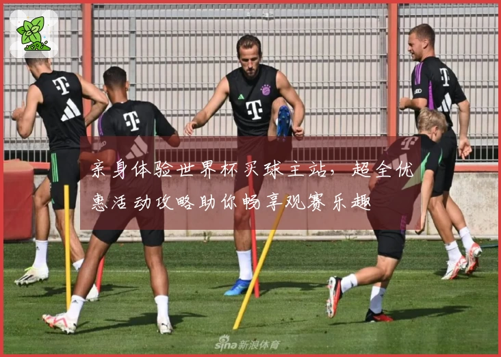 亲身体验世界杯买球主站，超全优惠活动攻略助你畅享观赛乐趣