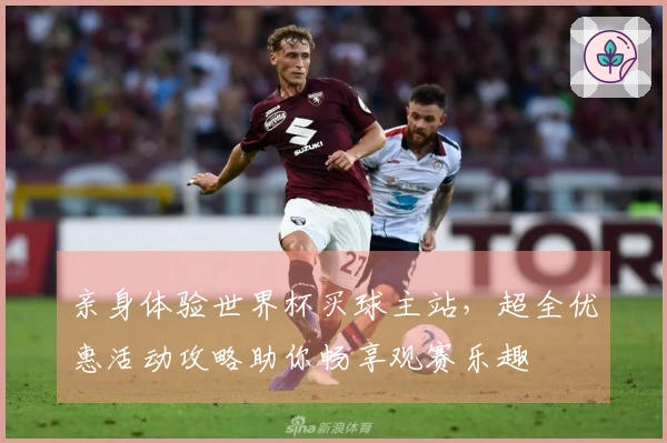 亲身体验世界杯买球主站，超全优惠活动攻略助你畅享观赛乐趣